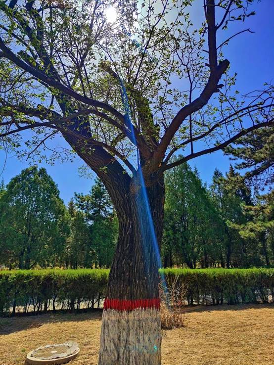 图示, 示意图

中度可信度描述已自动生成:ver1