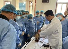 9d716a61e15a85b6802cafeef1f3b6c