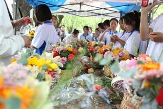 28398cc2adb19fbea319530a9fd77f7b_