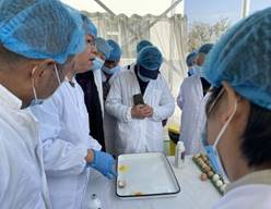 340cb6df973d391982abd6223995df7