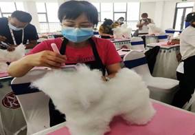 fcfacf8da073de4561c69abd8b89abb