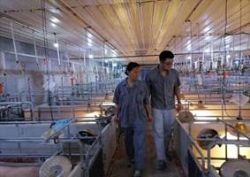 ebd9359c5171dfcf3a3f5907a08c07e