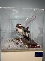 3bd646a35580eecb693a15b75aa2c81