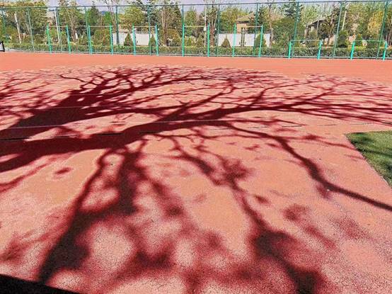 图示, 示意图

中度可信度描述已自动生成:ver1