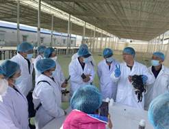 3d083258500f16de8ab7b5a687a56b7