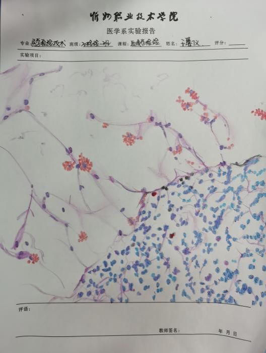 微信图片_20220511120737