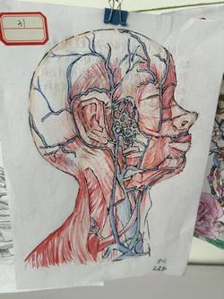 040e16e36358d1aac49f7bdfbbdb726