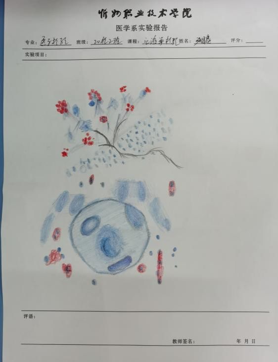 微信图片_20220511120734