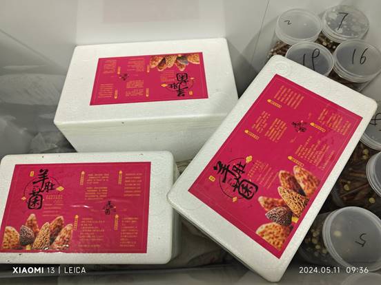 e12d4506fd0689f1383564d735f4872