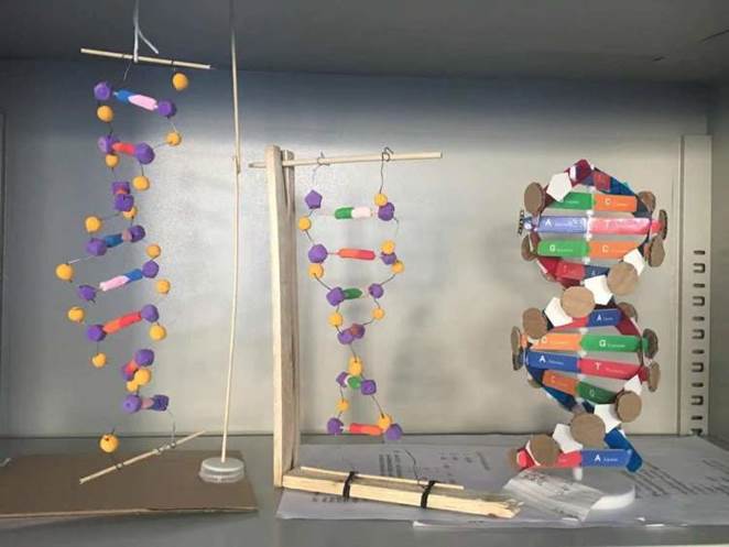 简篇-扬技能之帆，展青春风采--自然科学教学部科学模型作品展