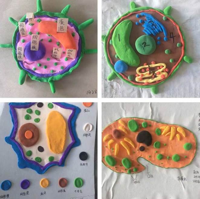 简篇-扬技能之帆，展青春风采--自然科学教学部科学模型作品展