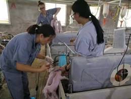 c03d5118568fb8b4b1efb73c58af08b