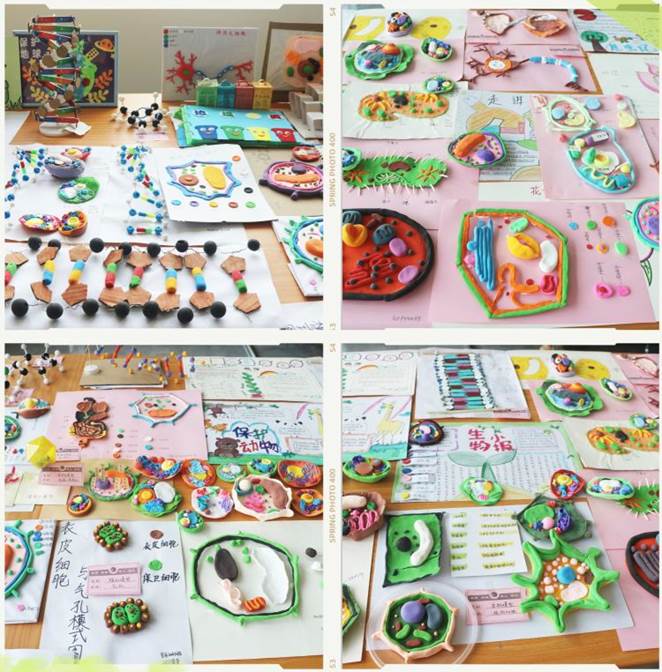 简篇-扬技能之帆，展青春风采--自然科学教学部科学模型作品展