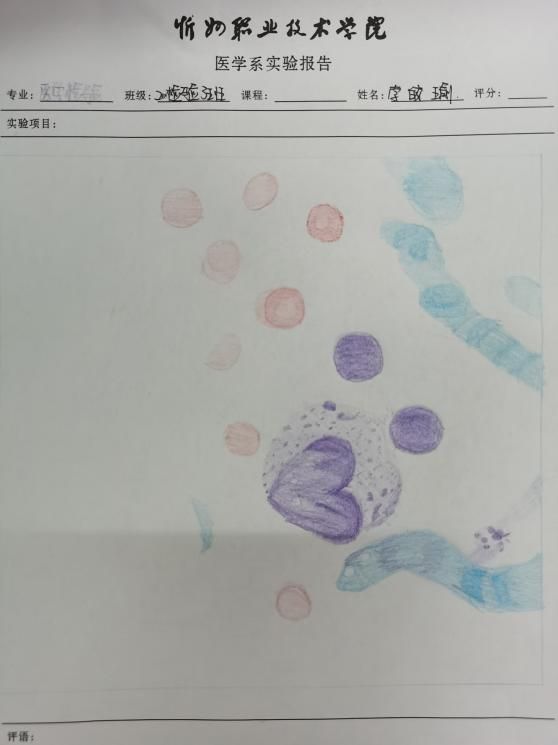 微信图片_20220511120730