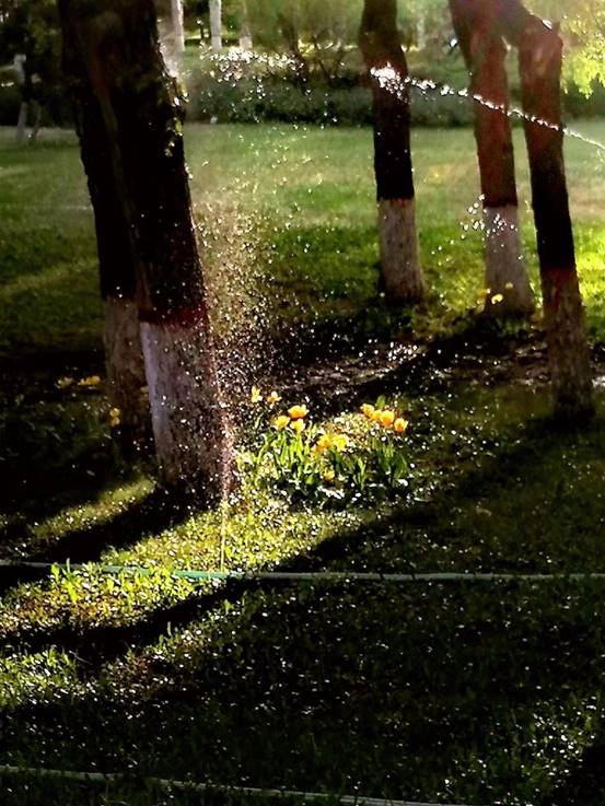 图示, 示意图

中度可信度描述已自动生成:ver1