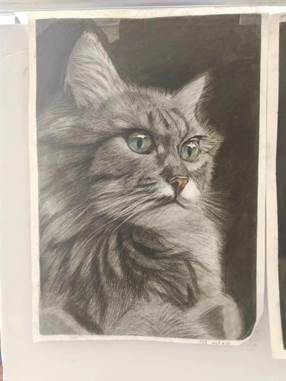 b04c6a7f6db5a8ae0ecc76308aea279