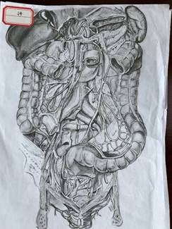 0323e582cf63b0884af4bec9a248782